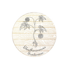Badge with Siberian Ginseng and Wooden Backdrop