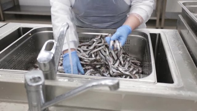 washing fish in food production