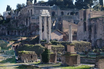 Rome Roma Foro Romano Roman Forum Italy