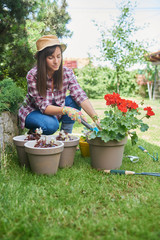 Naklejka na ściany i meble Gorgeous Caucasian brunette dressed in work wear and with hat and gloves planting begonia in her backyard.