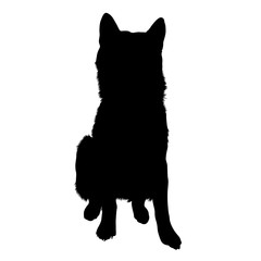Akita Dog Silhouette Vector Style