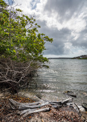 AN old Landhouse Views around the Caribbean island of Curacao