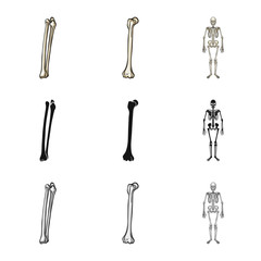 Vector illustration of medicine and clinic logo. Collection of medicine and medical stock vector illustration.