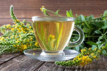 A cup of agrimony tea with blooming agrimony plant