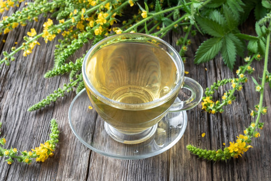 A cup of agrimony tea with blooming agrimony plant