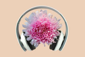 Headphones and pink flower astra, collage.