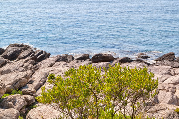 Fototapeta na wymiar Rocky shore. Vacation in Croatia