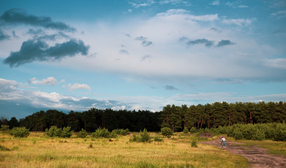 Fototapeta premium beautiful summer horizon