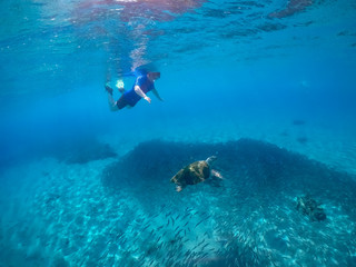 Underwater Views around the Caribbean island of Curacao