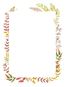 Herbal mix vector frame. Hand painted plants, branches and leaves on white background. Natural fall card design.