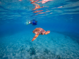 Underwater Views around the Caribbean island of Curacao