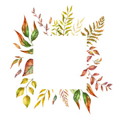 Fototapeta na wymiar Herbal mix vector frame. Hand painted plants, branches and leaves on white background. Natural fall card design.