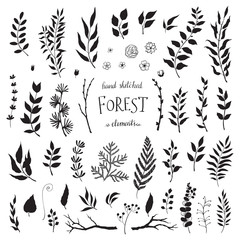 Vector Big Set hand drawn leaves - herbs and leaf.