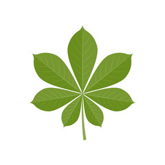 Green vector chestnut leaf in flat style