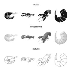 Vector design of appetizer and ocean sign. Set of appetizer and delicacy stock symbol for web.