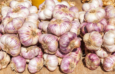 Fresh garlic on the market