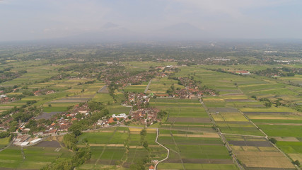 agricultural landscape in asia with rice fields, farmers village agricultural land with sown green...