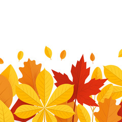 Colorful leaves in flat style, frame template