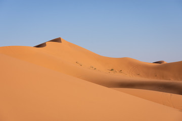 Fototapeta na wymiar Dune de l'Erg Chebbi, désert de Merzouga, Maroc