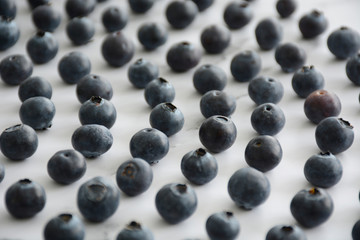 Blueberries antioxidant superfood on white background