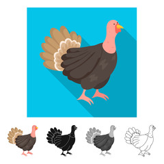 Vector design of turkey and bird logo. Collection of turkey and thanksgiving vector icon for stock.