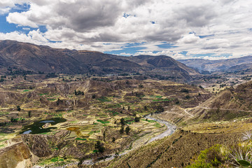 A lot of terraces in Colca Valley
