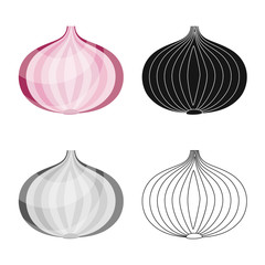 Vector design of onion and vegetables logo. Set of onion and leaf vector icon for stock.