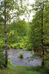 Bright summer landscape with river and green deciduous trees