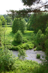 Fototapeta premium Bright summer landscape with river and green deciduous trees