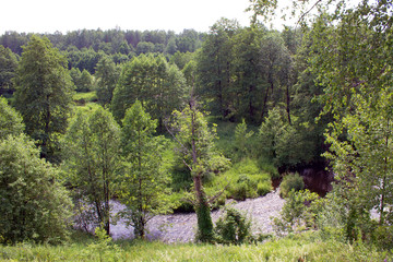 Fototapeta na wymiar Bright summer landscape with river and green deciduous trees