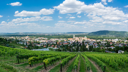 Fototapeta na wymiar Klosterneuburg in Weinviertel. Lower Austria, Europe.