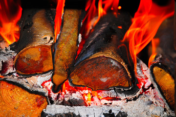 Wood burning in the fireplace closeup