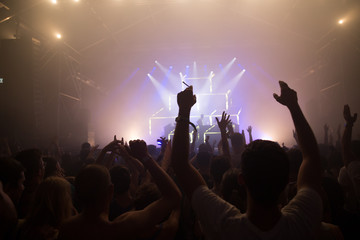 Fans enjoying the party vibes.