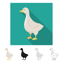 Vector design of goose and pet symbol. Collection of goose and Canada stock vector illustration.
