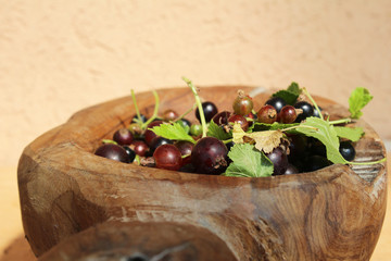 Ribes nigrum commonly The blackcurrant or black currant in a wooden pot on wooden background, in artistic Still life style