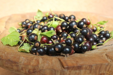 Ribes nigrum commonly The blackcurrant or black currant in a wooden pot on wooden background, in artistic Still life style