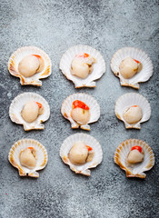 Raw fresh uncooked scallops