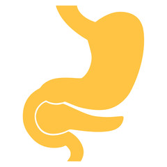 Human internal organs: Stomach and Pancreas. Flat design. Vector image
