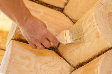 Applying varnish paint on a wooden surface. Man hand with a brush  closeup. Painting walls of a log house.