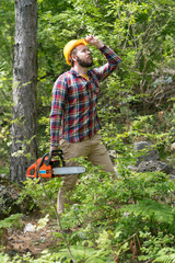 a bearded chainsaw worker in the forest