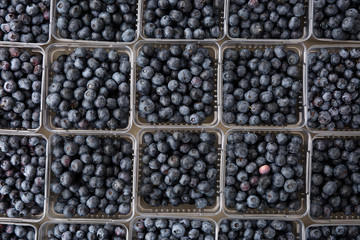 Beautiful fresh blueberries at a farmers market in containers