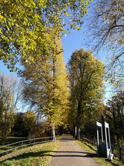 Spaziergang auf dem Lindenwall am Abteigarten im Sommer bei blauem Himmel und Sonnenschein an der...