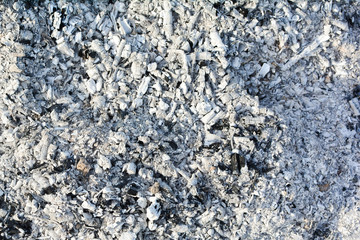 Texture of the ashes. Natural gray background of burnt wood. Burnt coals.