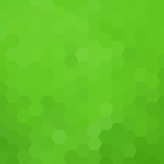 Fototapeta na wymiar green hexagon background. template for presentation. eps 10