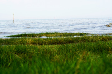 Blick von Dangast auf Wilhelmshaven