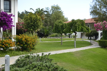 garden in park