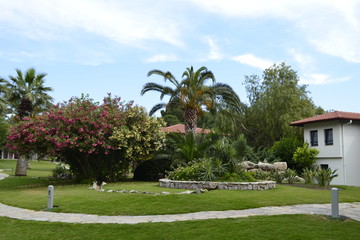 garden in park