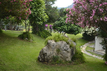 japanese garden with flowers