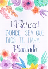 This is a handmade painting, using watercolors. It says: Florece!, donde sea que Dios te haya plantado or Flourish !, wherever God has planted you