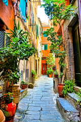 Colorful plant lined old street in the Cinque Terre village of Vernazza, Italy - obrazy, fototapety, plakaty